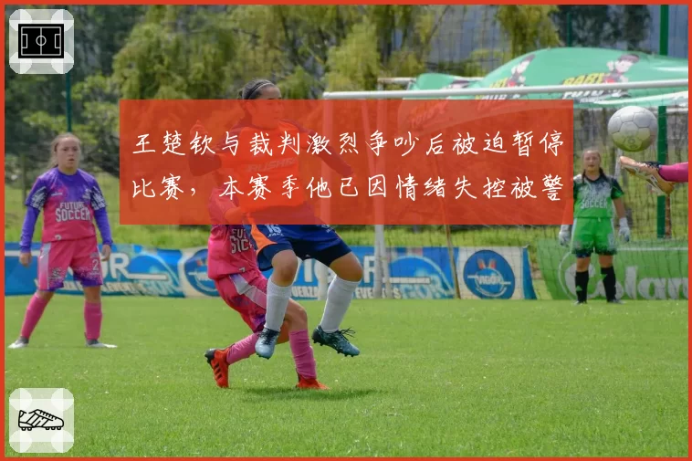 王楚钦与裁判激烈争吵后被迫暂停比赛，本赛季他已因情绪失控被警告4次