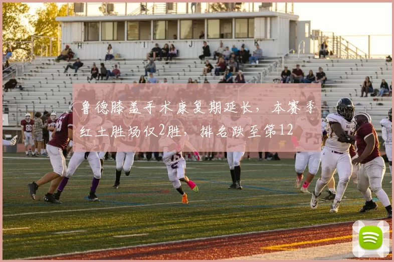 鲁德膝盖手术康复期延长，本赛季红土胜场仅2胜，排名跌至第12